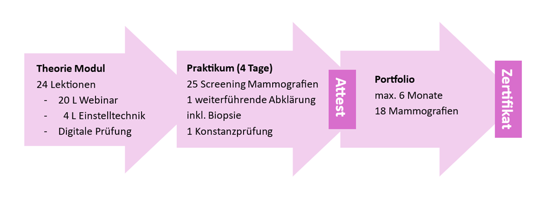 Grundkurs Mammografie-Screening